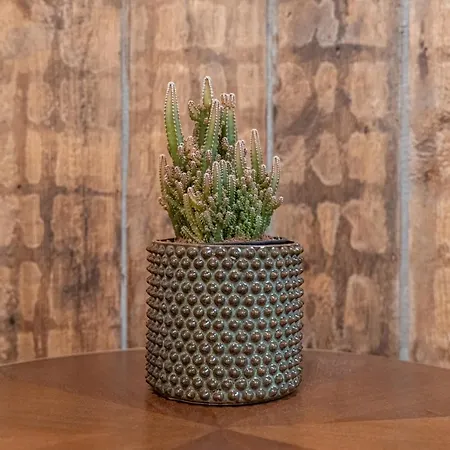 דירה Boutiq Center Terbatas *